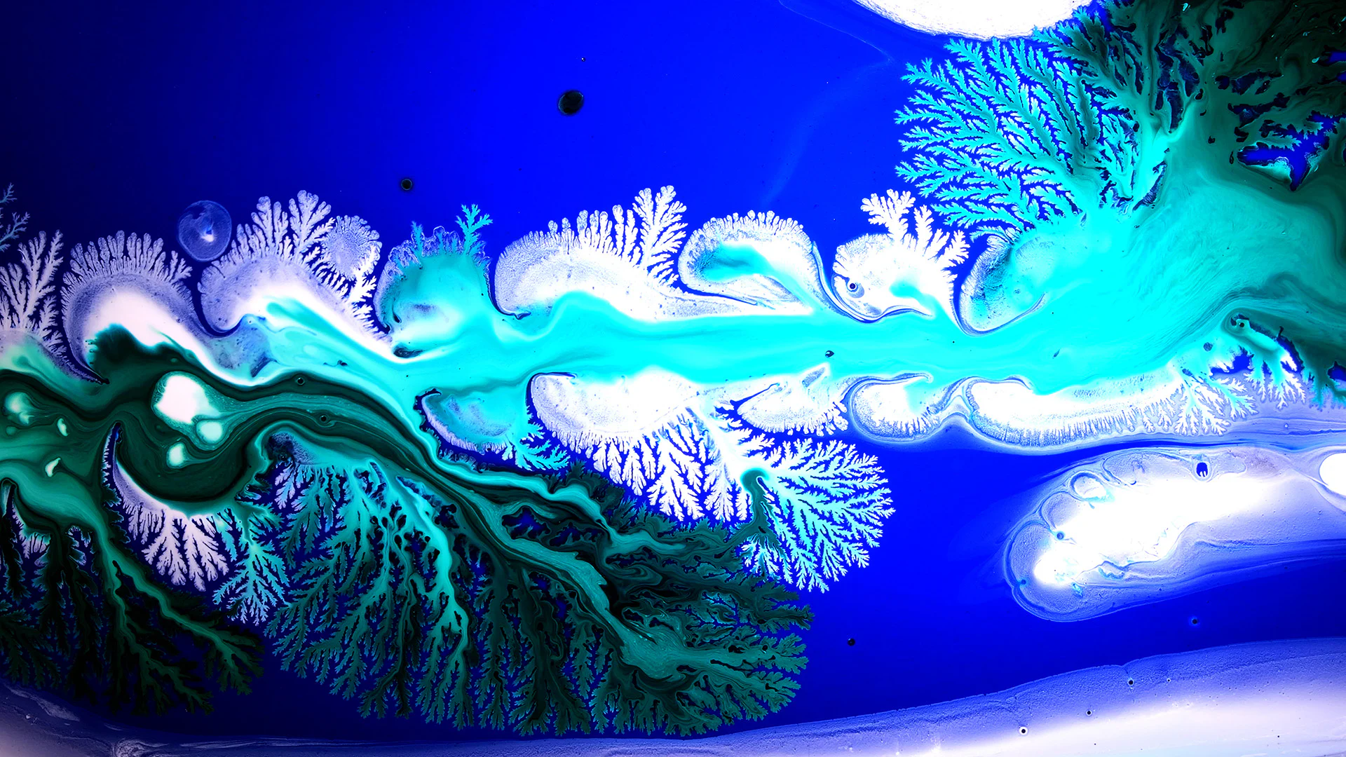 Floating Points’ new video is a fluid exploration of lifeforms