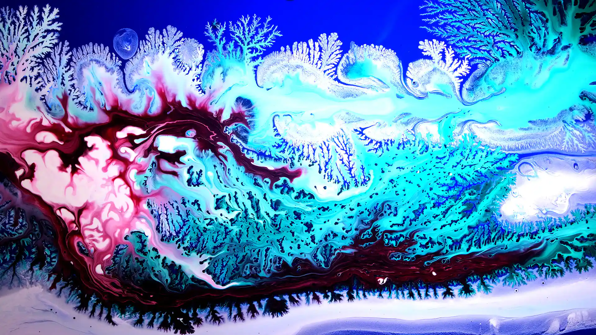 Floaties Graphc Floating Points’ new video is a fluid exploration of lifeforms