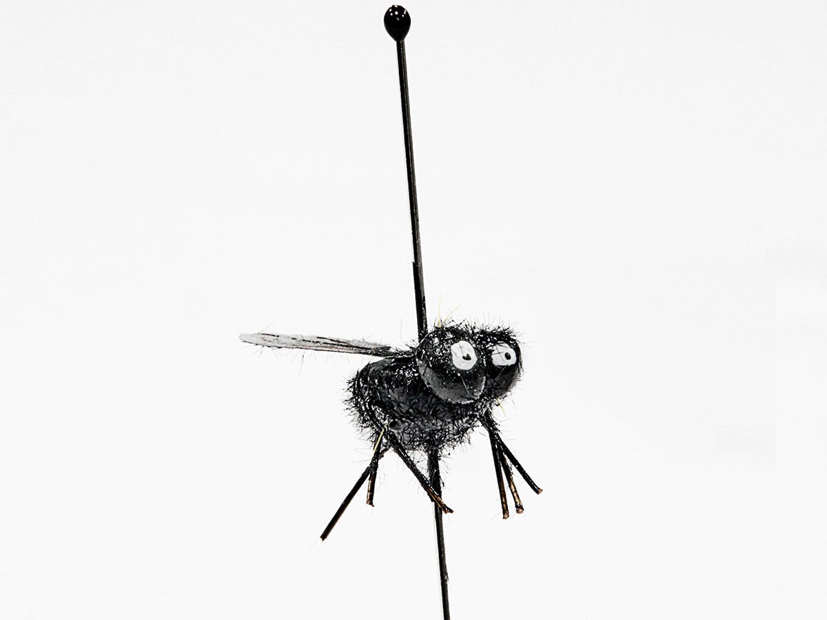 A cartoonish model of a fly skewered with a pin