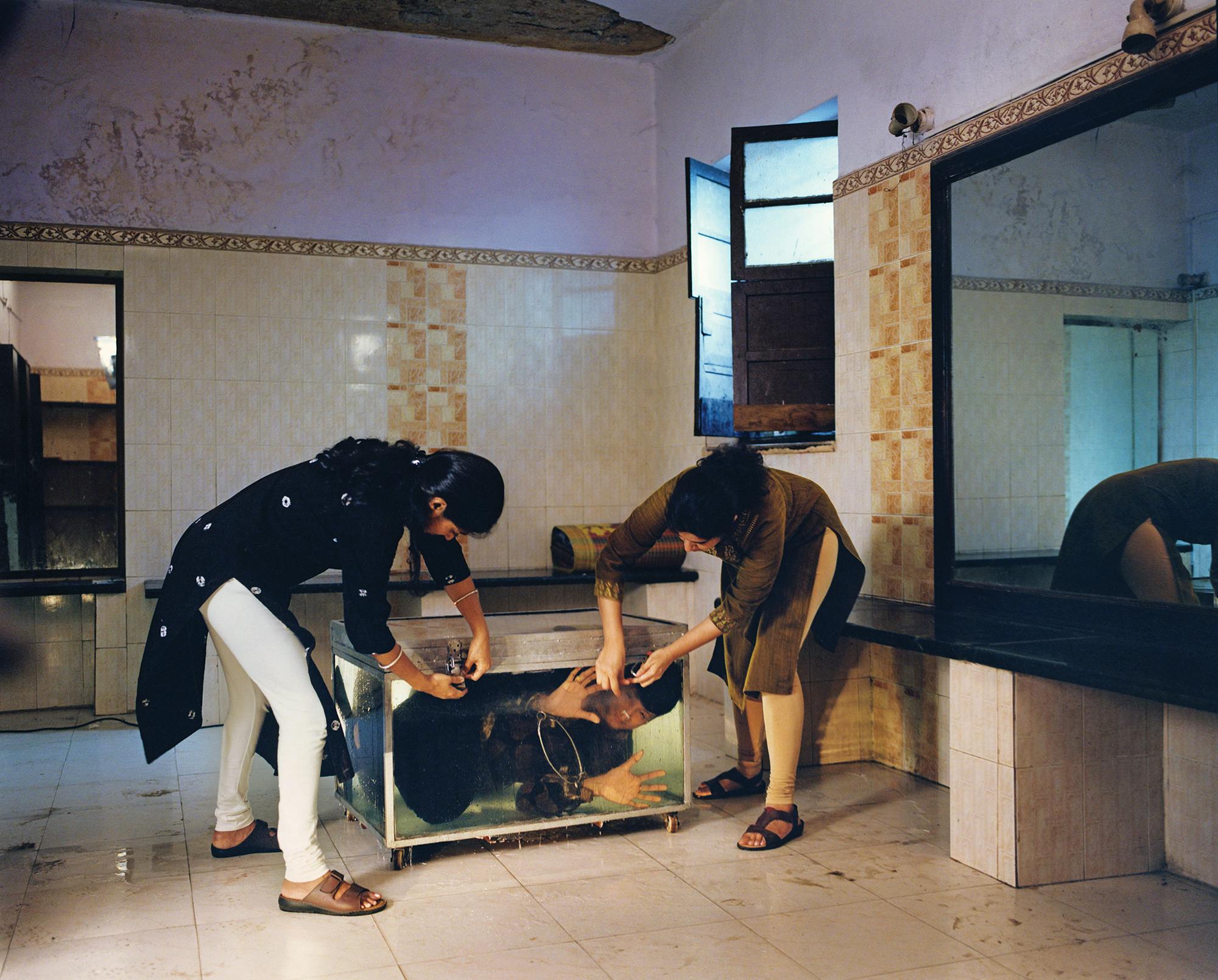 Tara LC Sood photography