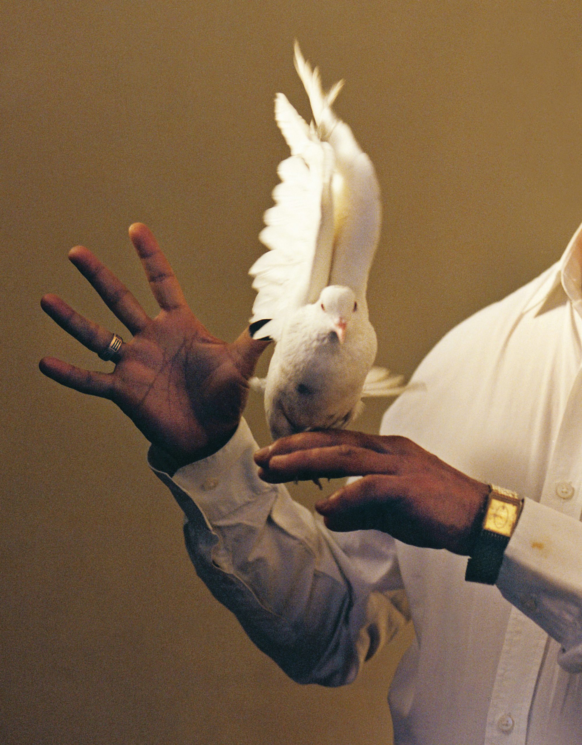 Tara LC Sood photography