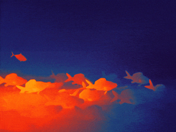 Animated clip from WWF film shot using a thermal camera showing glowing orange fish against a deep blue backdrop