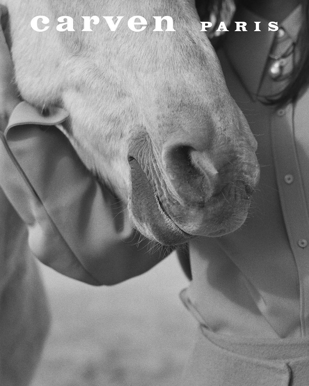 © Hero Bean Stevenson 