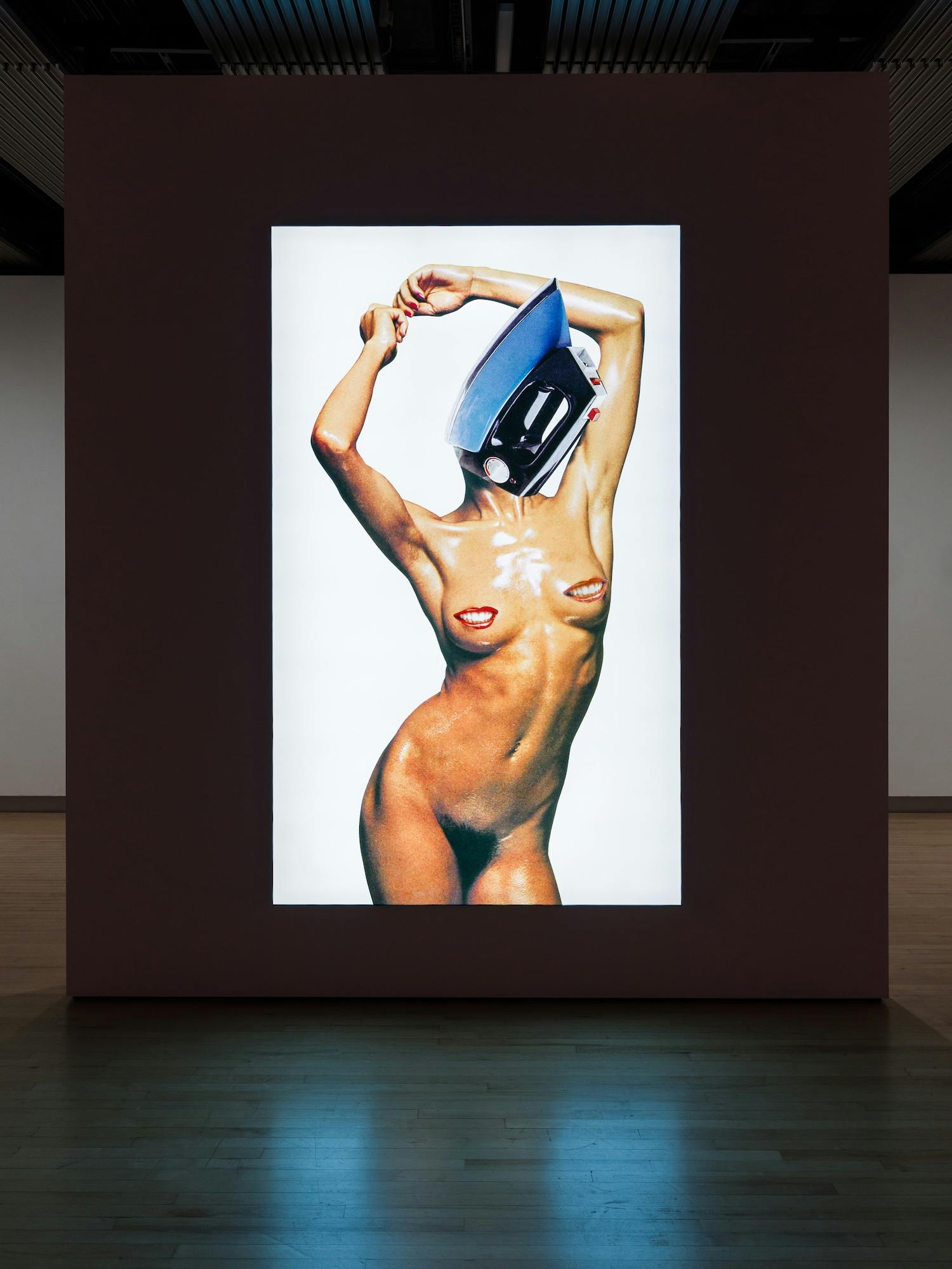 Installation view of Linder_ Danger Came Smiling. It’s The Buzz, Cock!, (2015). Photo_ Mark Blower. Courtesy the artist and the Hayward Gallery.