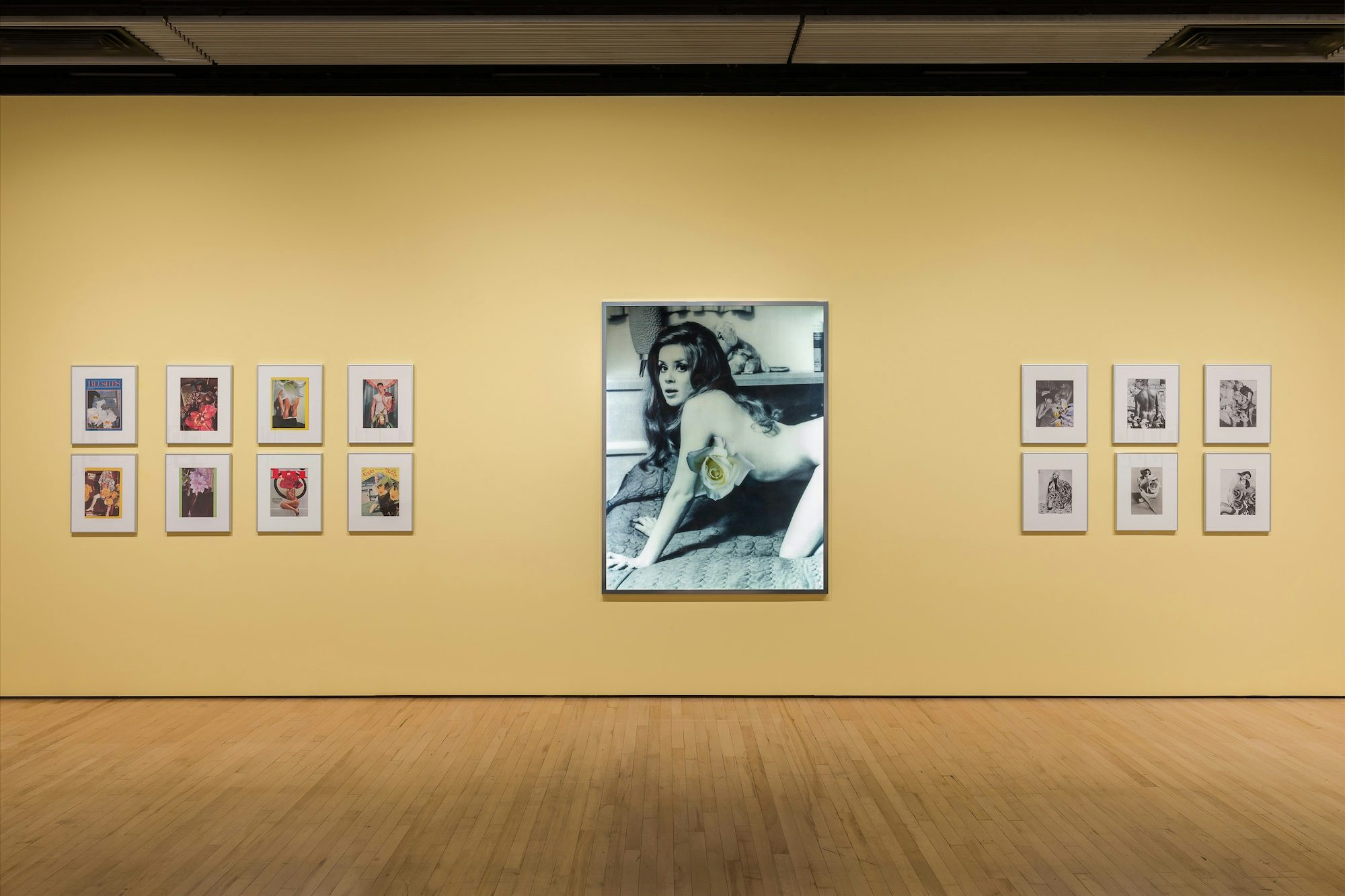 Installation view of Linder: Danger Came Smiling.
