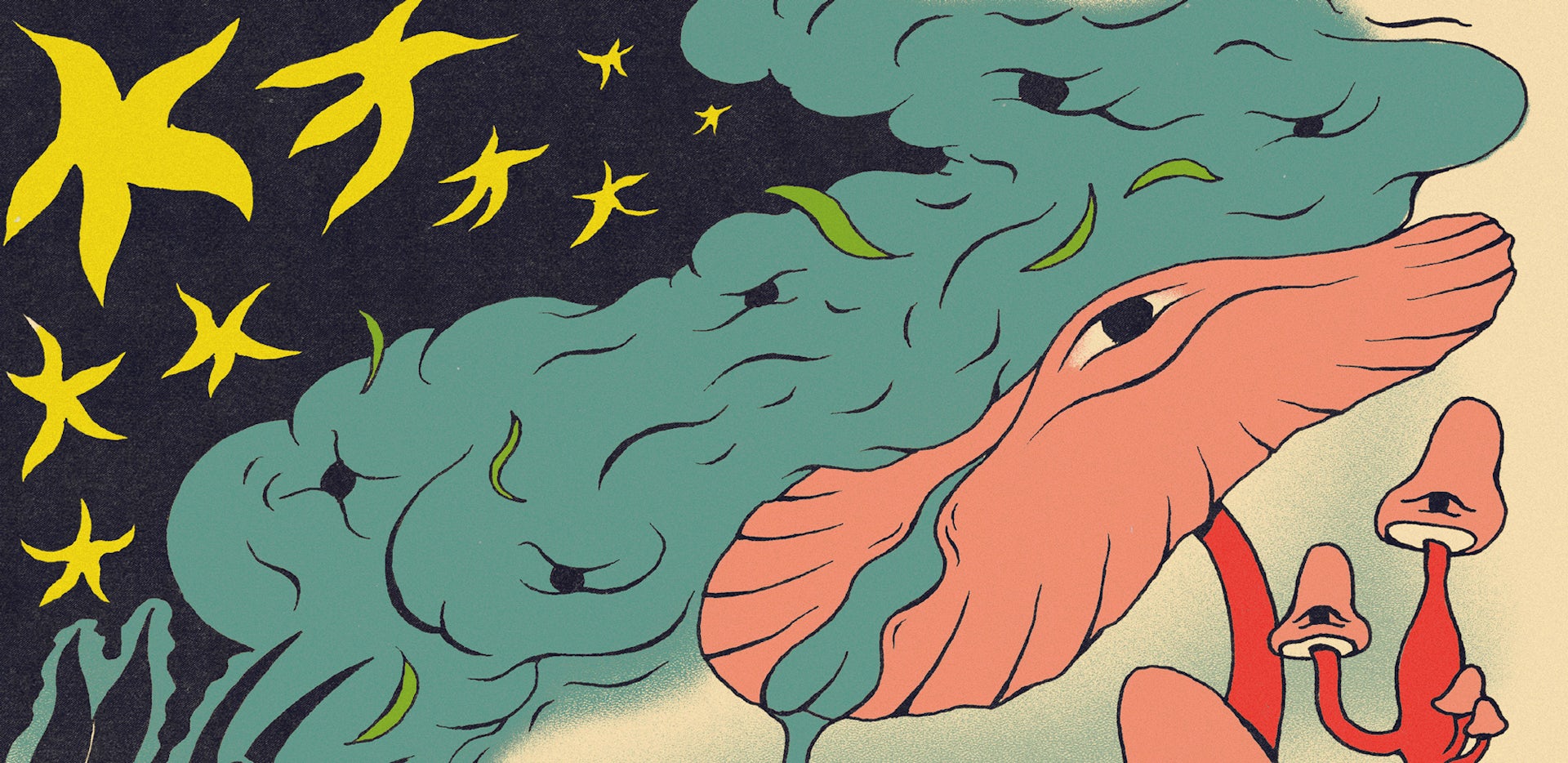 Anaïs Rallo designer and illustrator