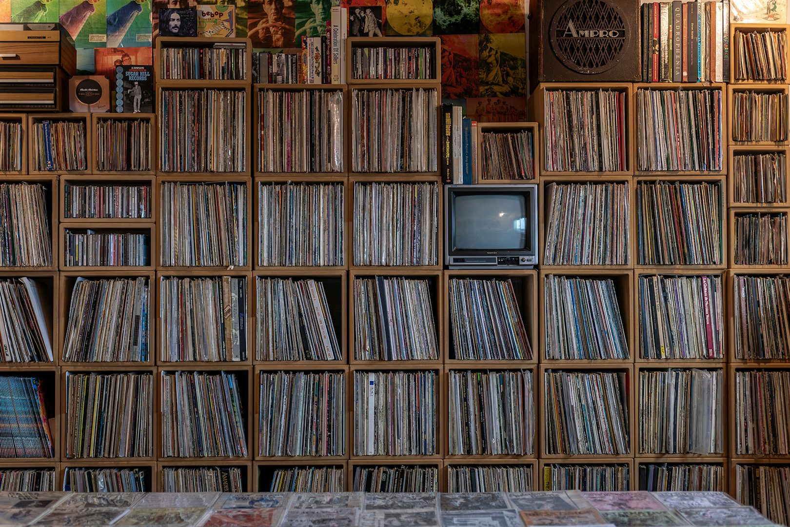 Bookshelves in the Rock & Roll Public Library