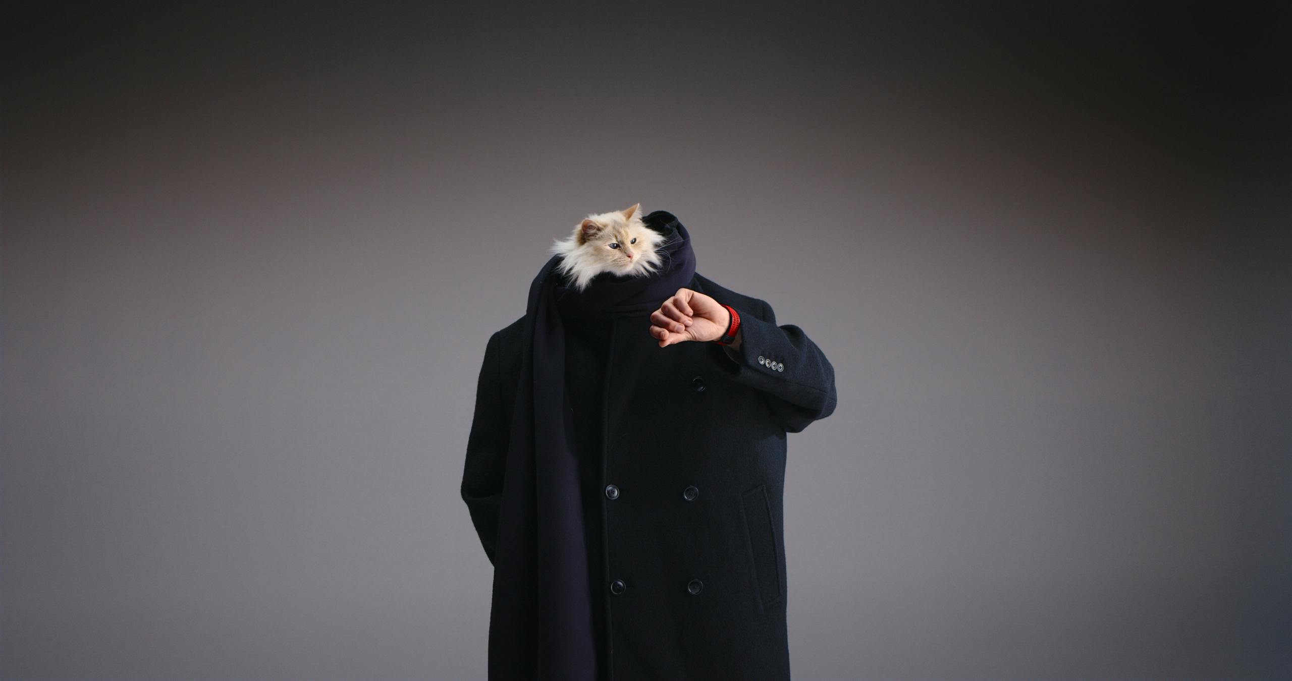 Hublot Choupette campaign by Wieden+Kenn