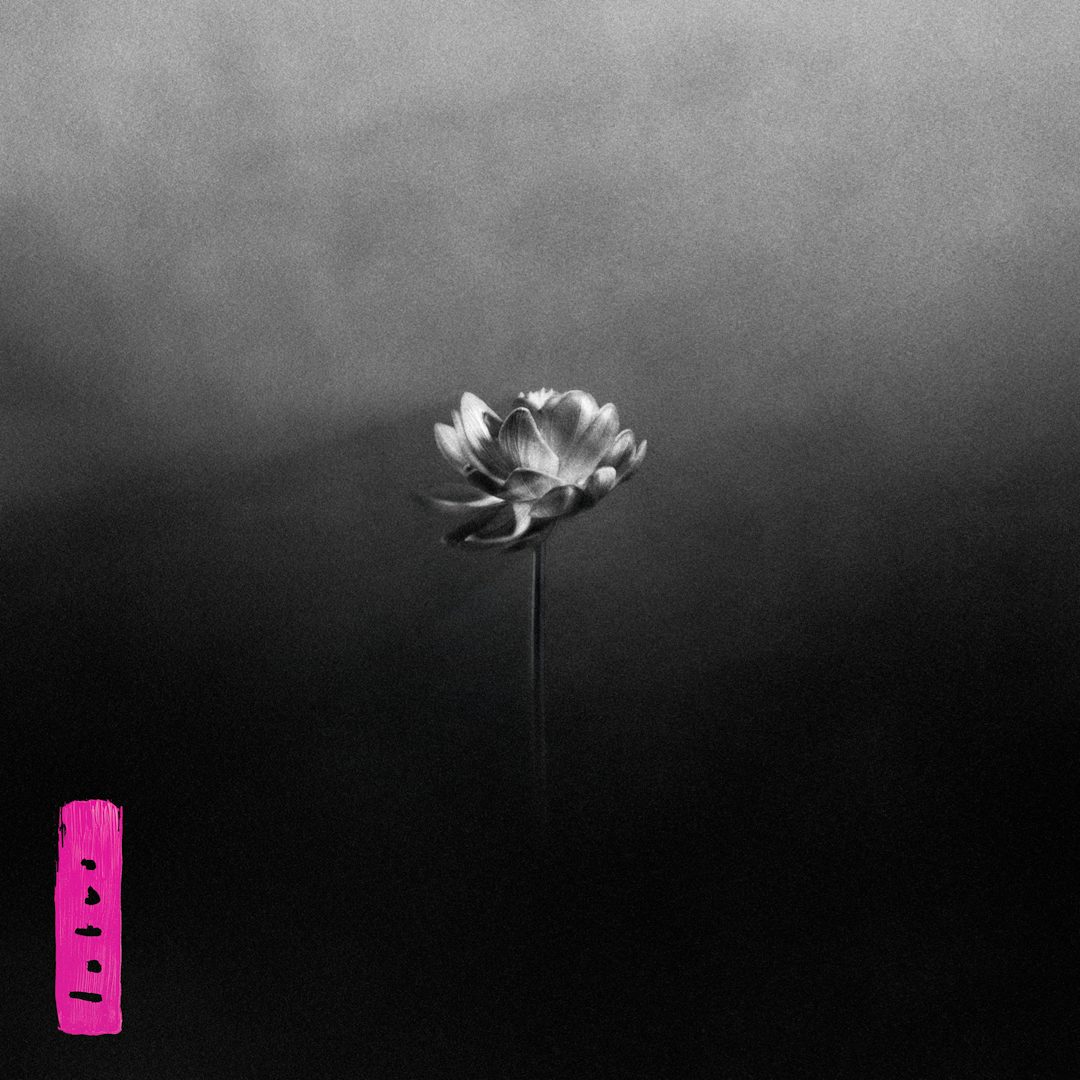 Cover art of Lotus by Little Simz featuring a black and white image of a lotus flower