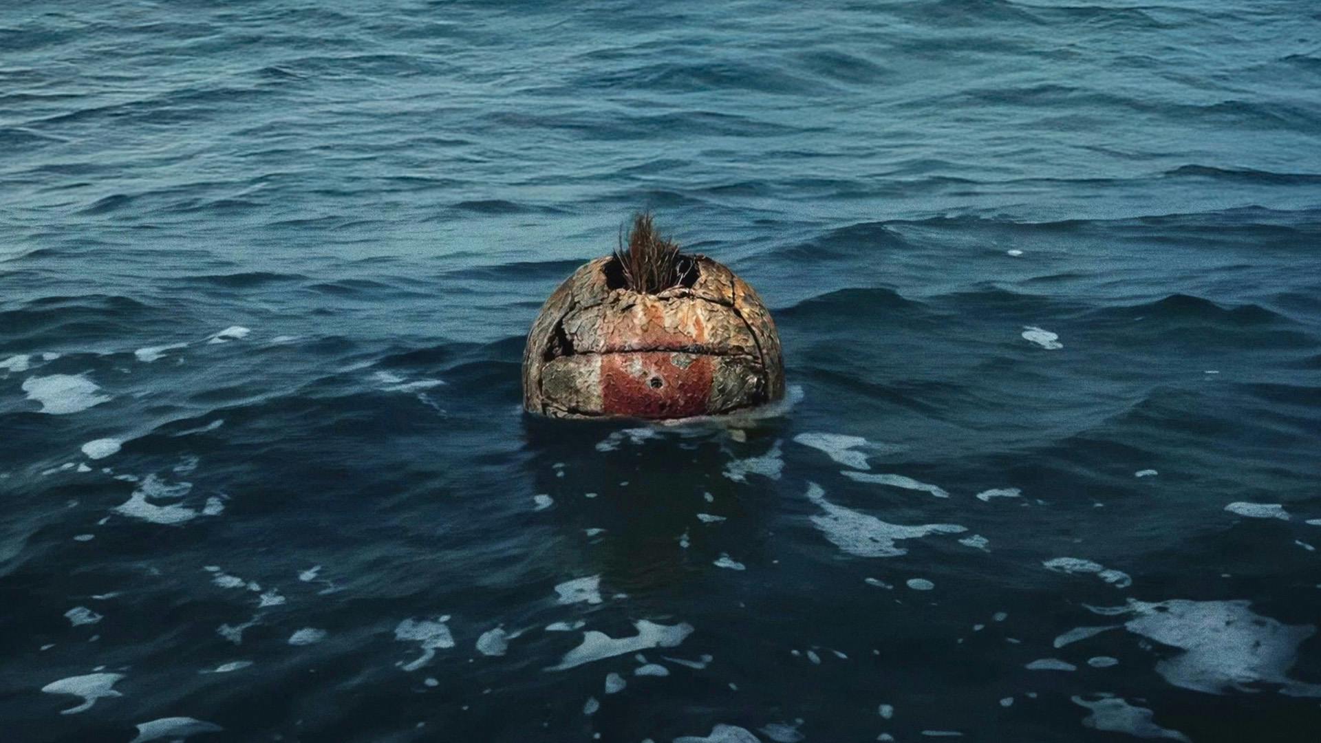 Image of a volleyball with a tuft of hair floating on water resembling Wilson the ball from Cast Away