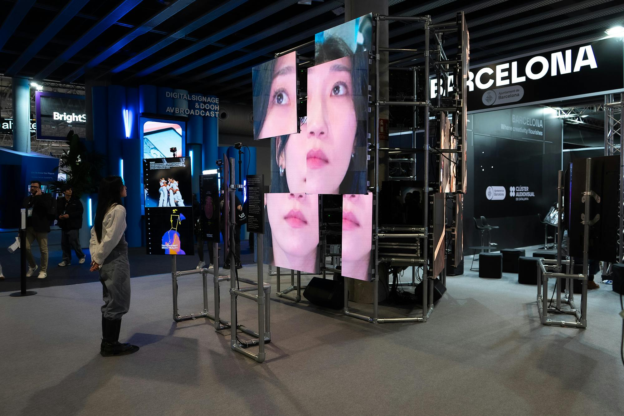 Domestic Data Streamers