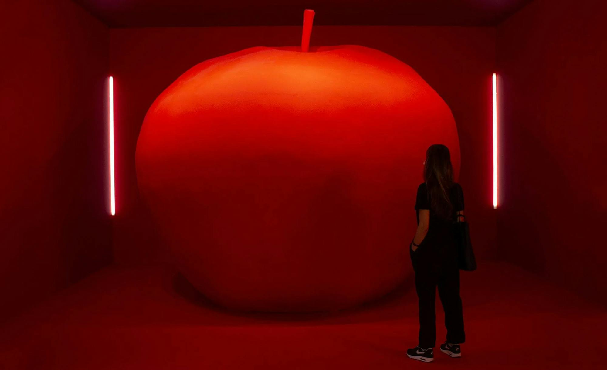 Domestic Data Streamers