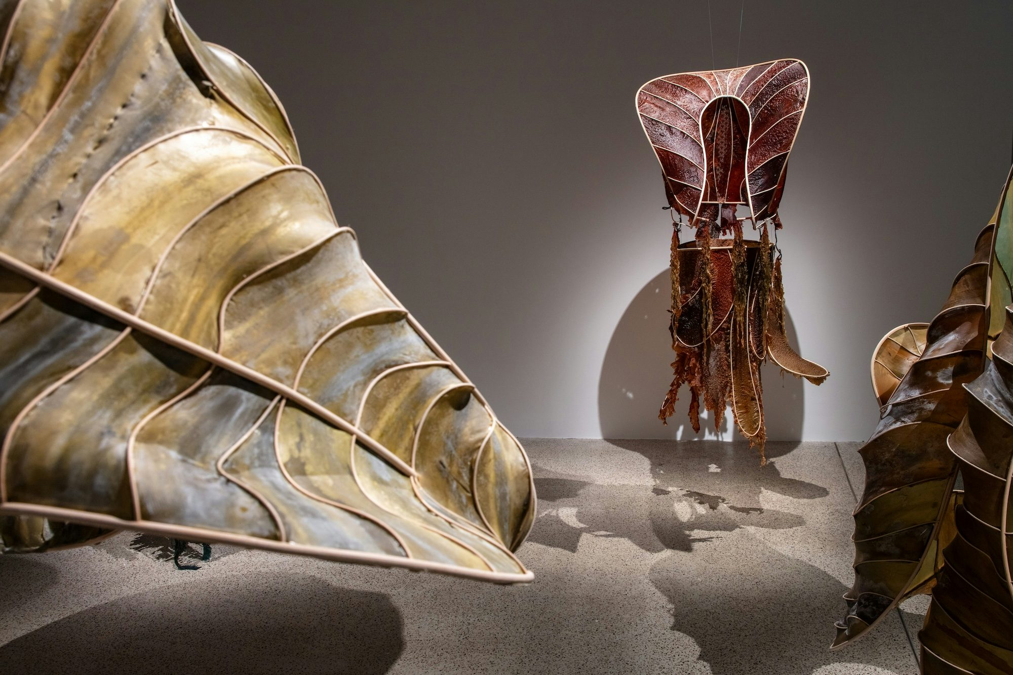 More than Human exhibition at the Design Museum