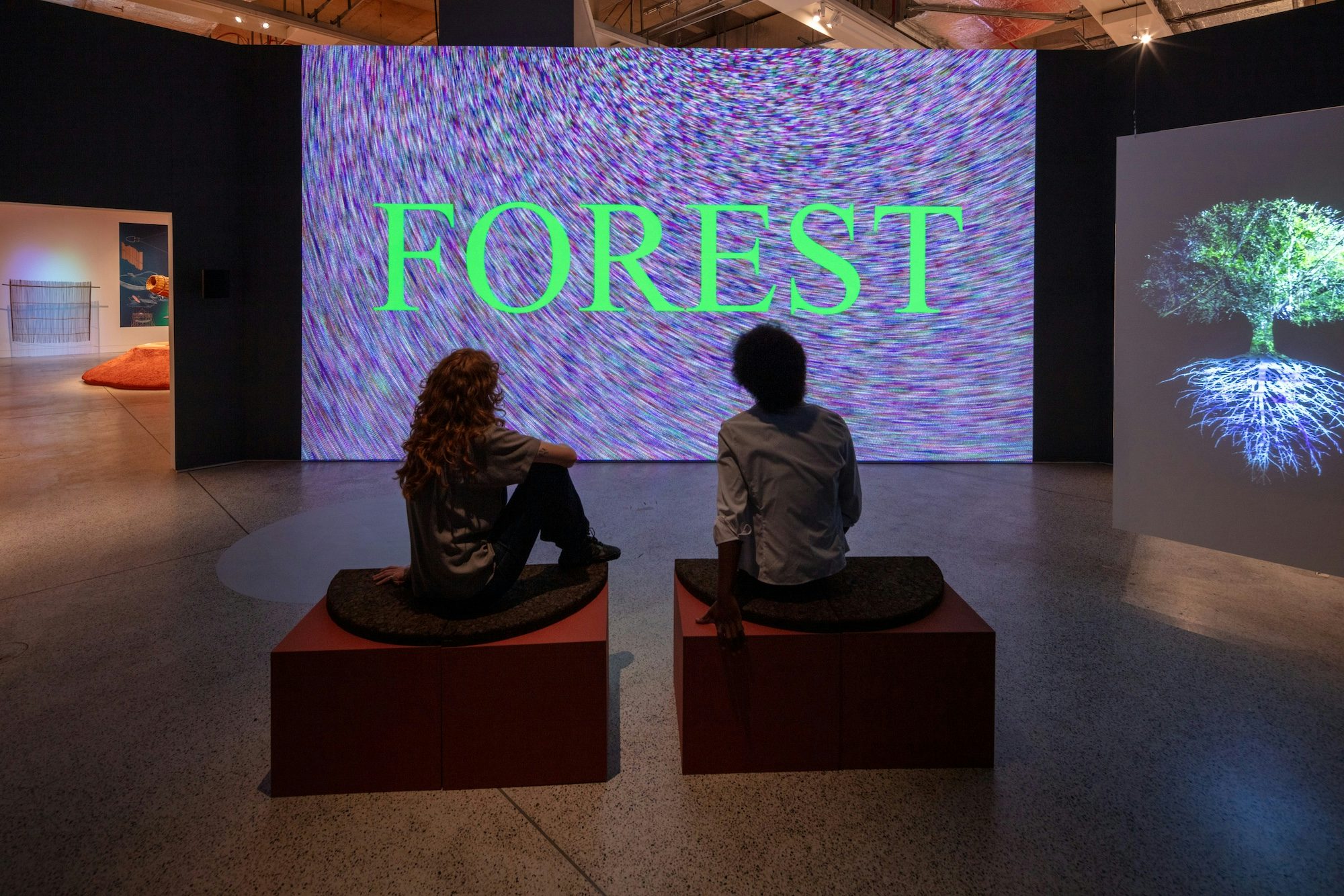 More than Human exhibition at the Design Museum