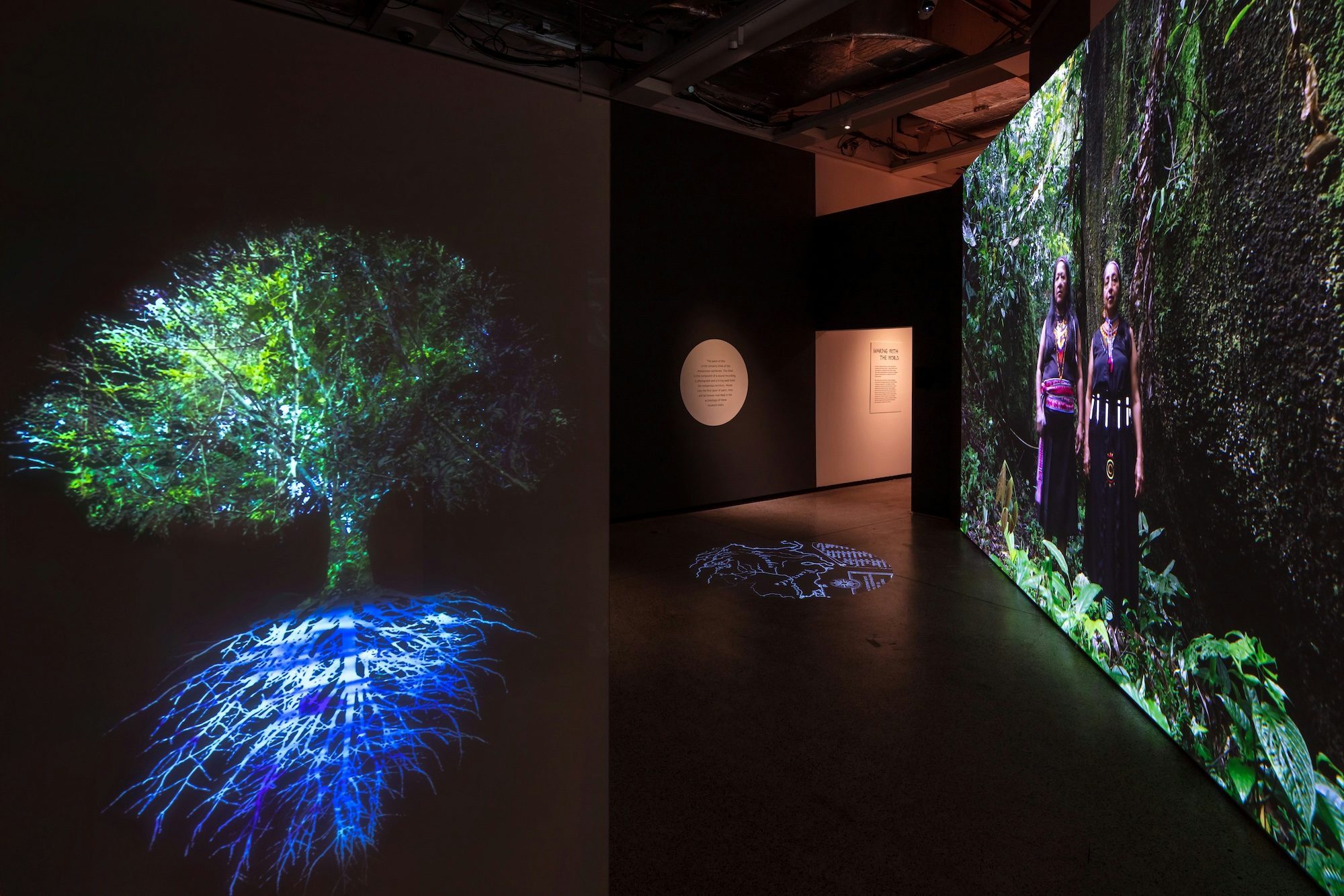 More than Human exhibition at the Design Museum