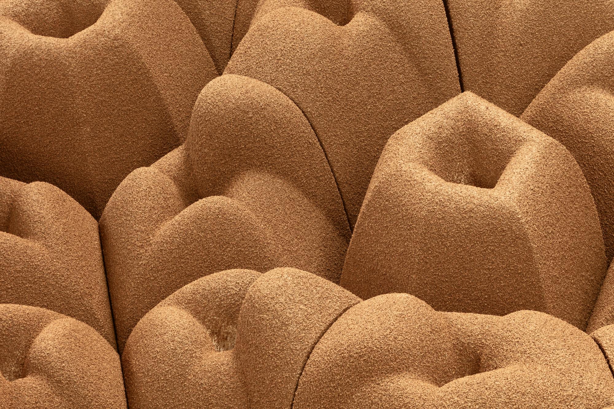 More than Human exhibition at the Design Museum