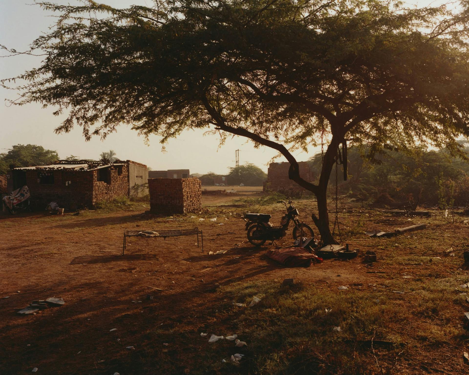 Photo by Vivek Vadoliya of a moped under a tree in a yard bathed in warm light