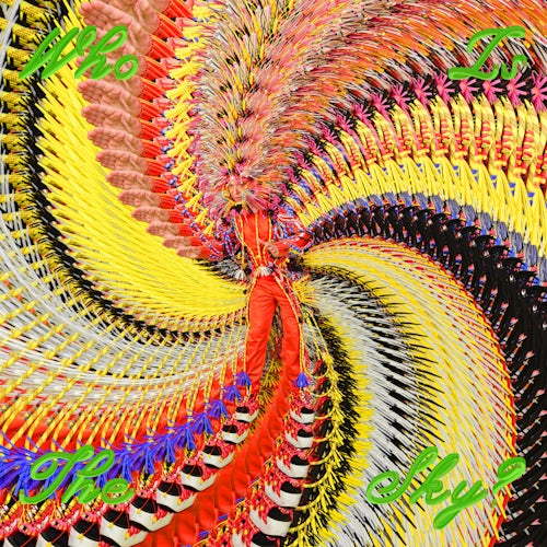 David Byrne Who Is the Sky? LP album