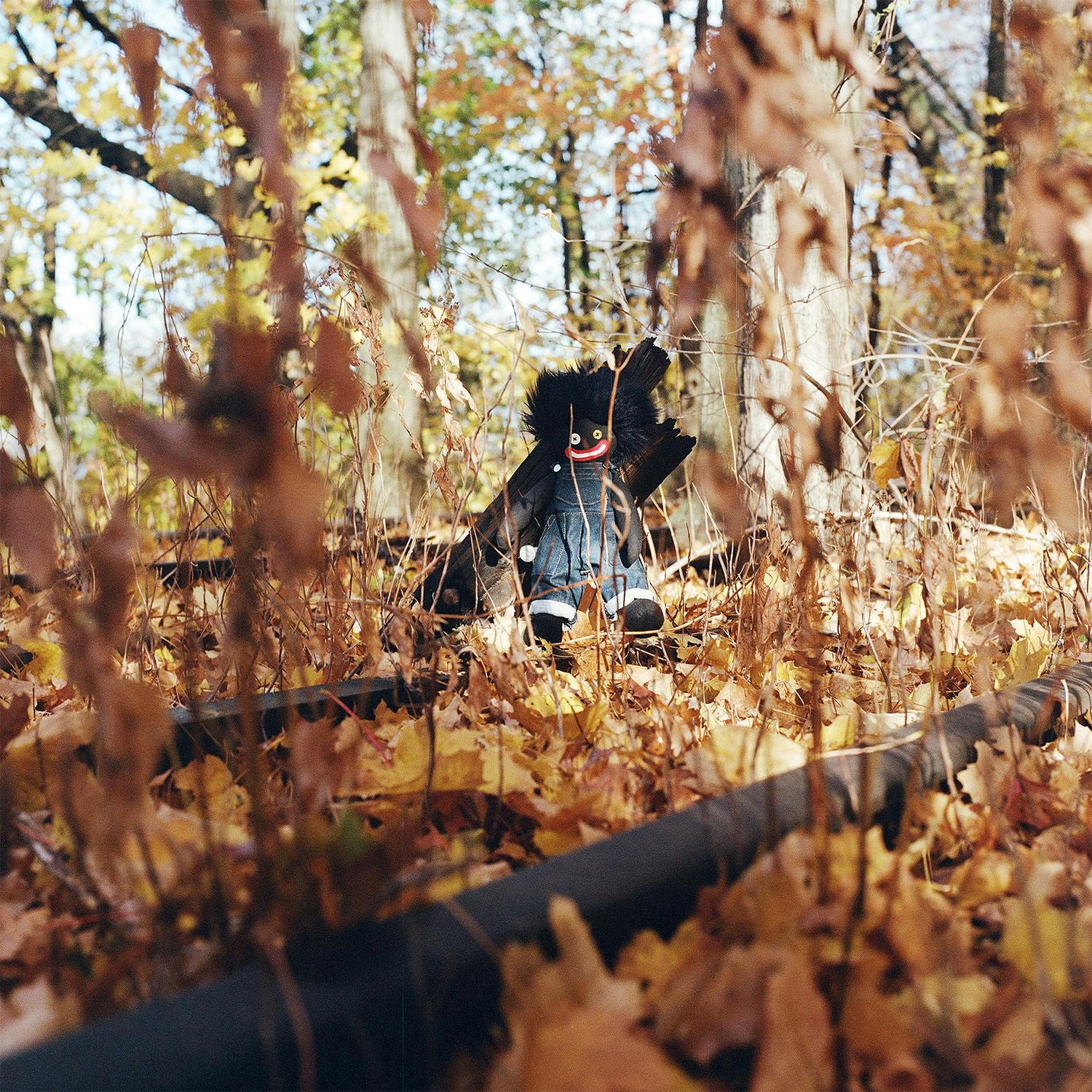 billy woods Golliwog album cover