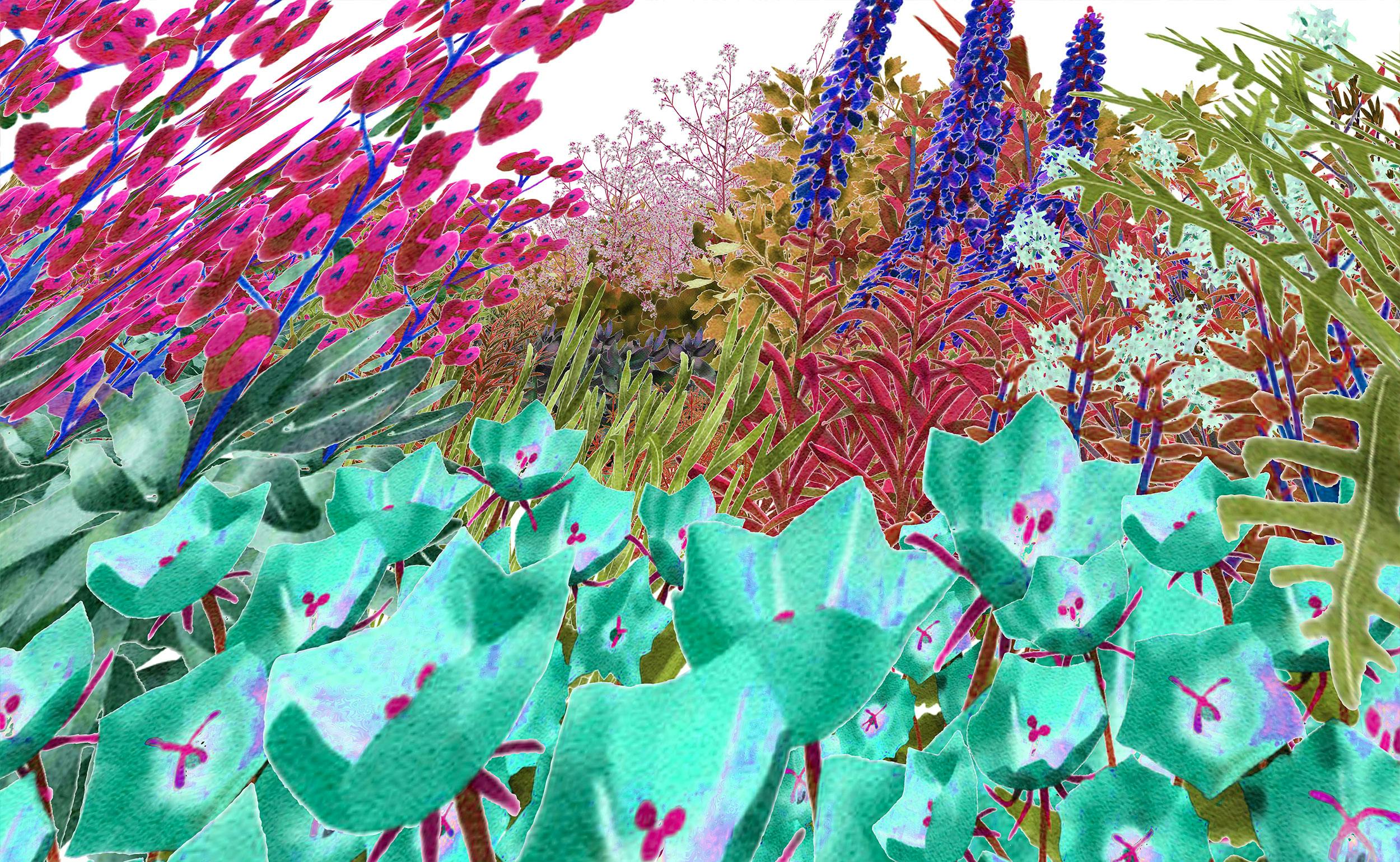 Pollinator Pathmaker: AfvLbwTriWhuR7PDkd77LZ; Pollinator Vision, Late Spring, 2023