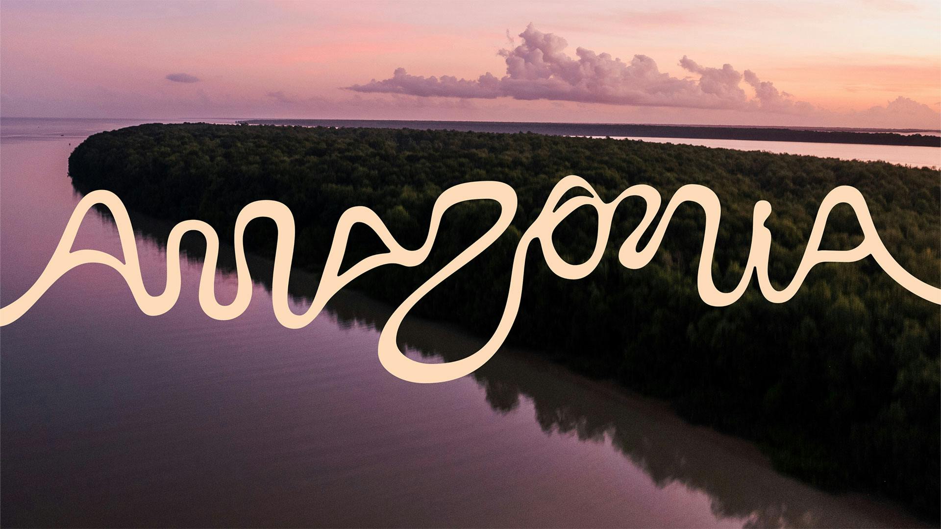 The Brazilian Amazon gets historic new brand identity