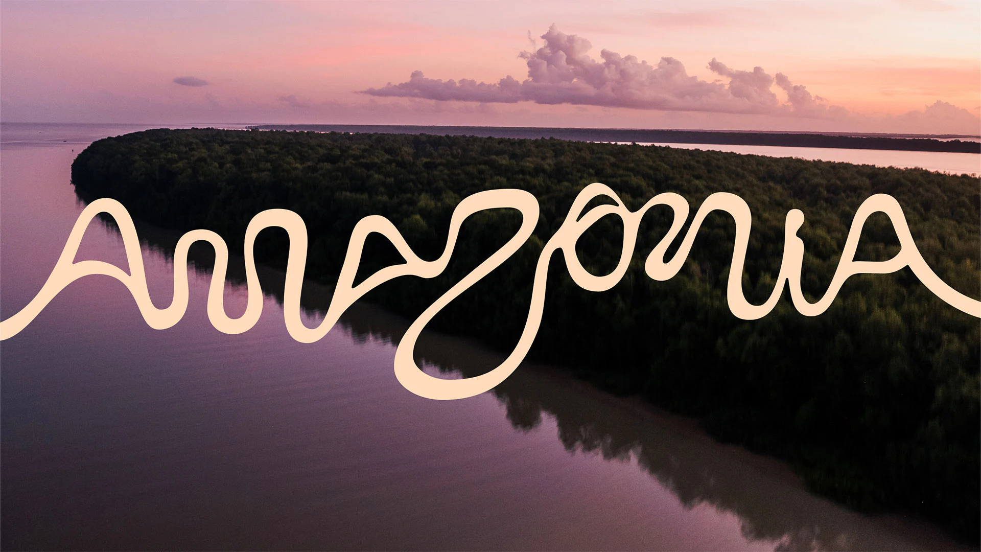 The Brazilian Amazon gets historic new brand identity