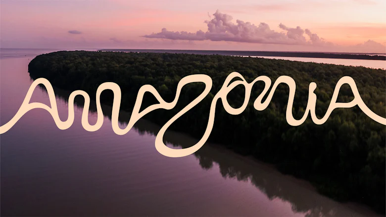 Amazonia branding by Future Brand São Paulo