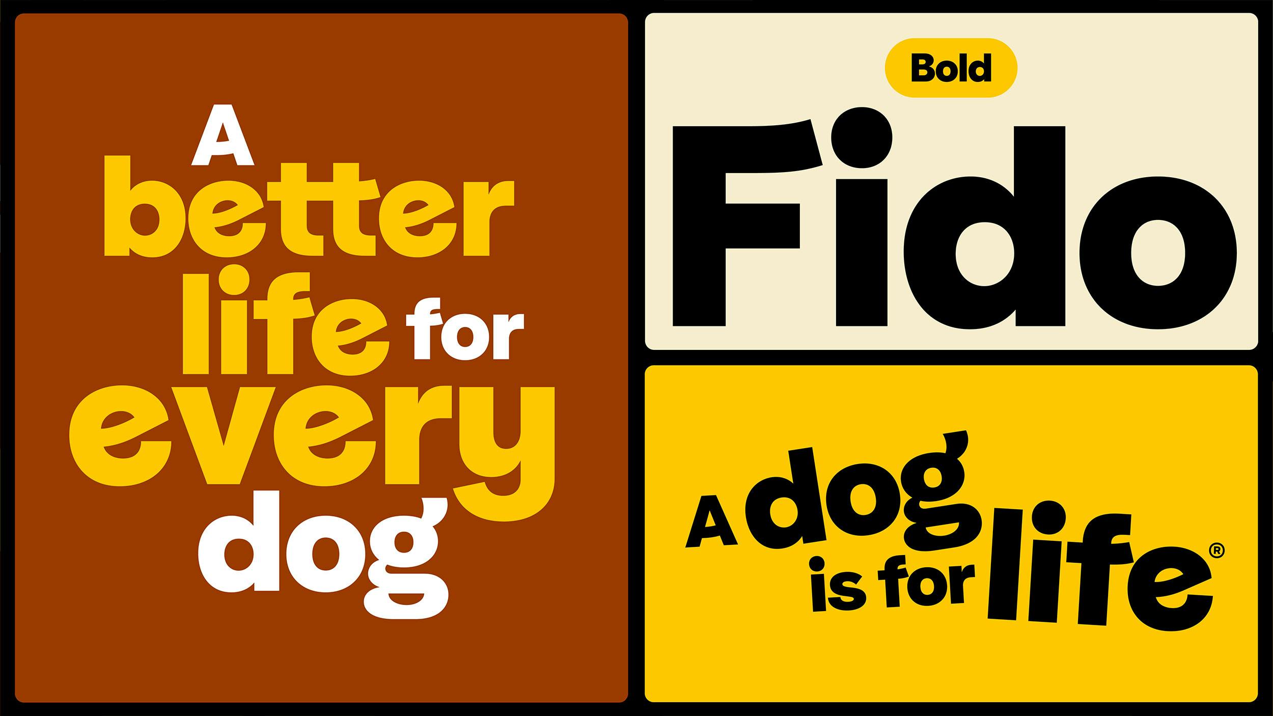 Dogs Trust adopts a “dog’s eye view” in new brand refresh