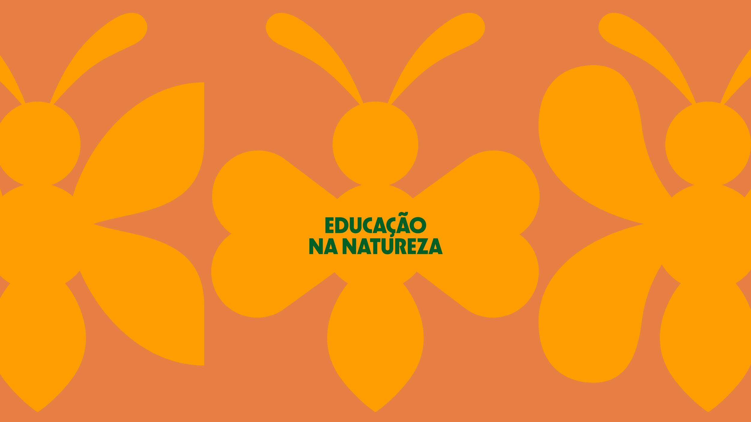 Brazil’s native flora and fauna inspire new green school initiative