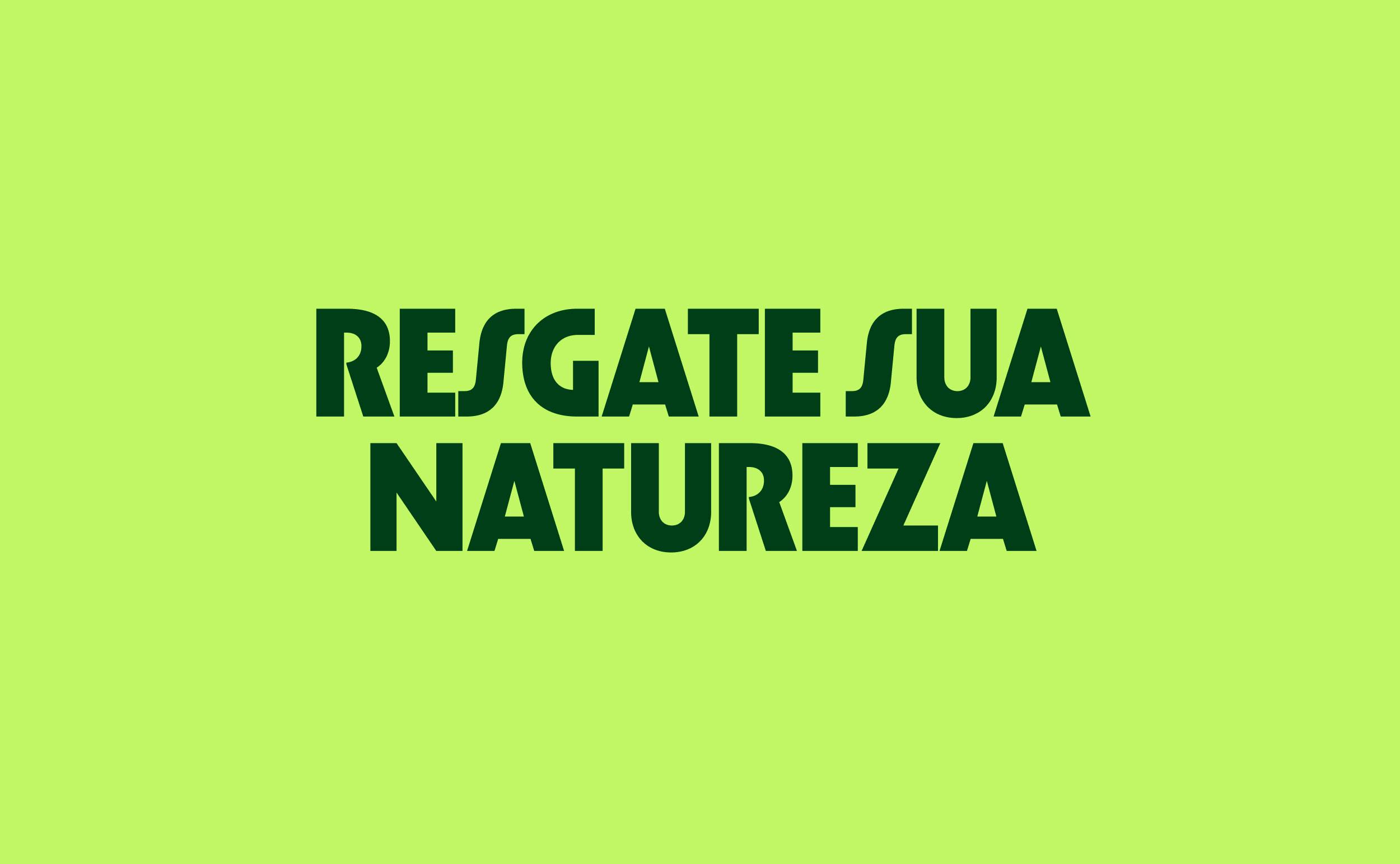 Brazil’s native flora and fauna inspire new green school initiative