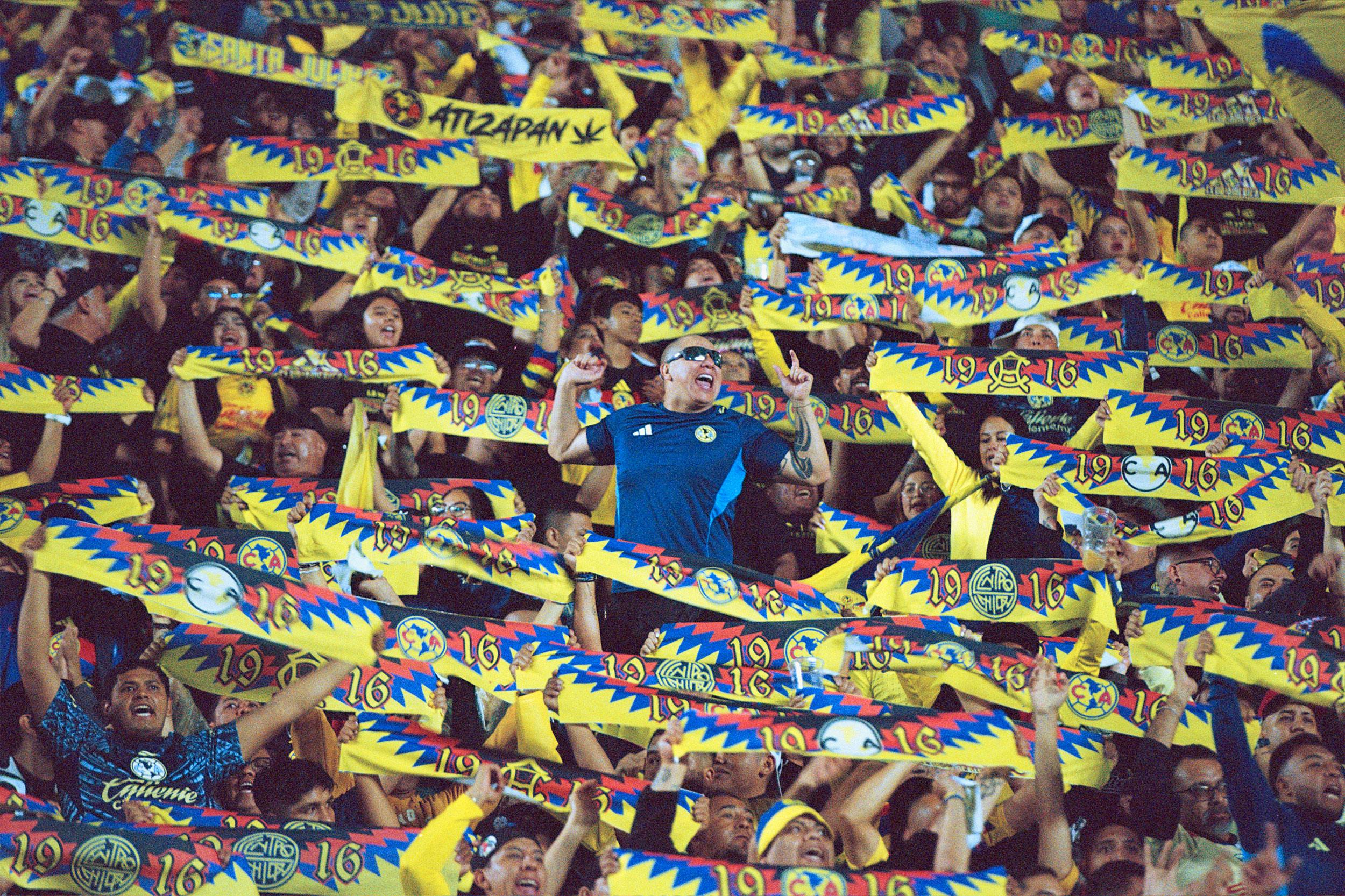 Over Land and Sea book offers vivid portrait of football fandom
