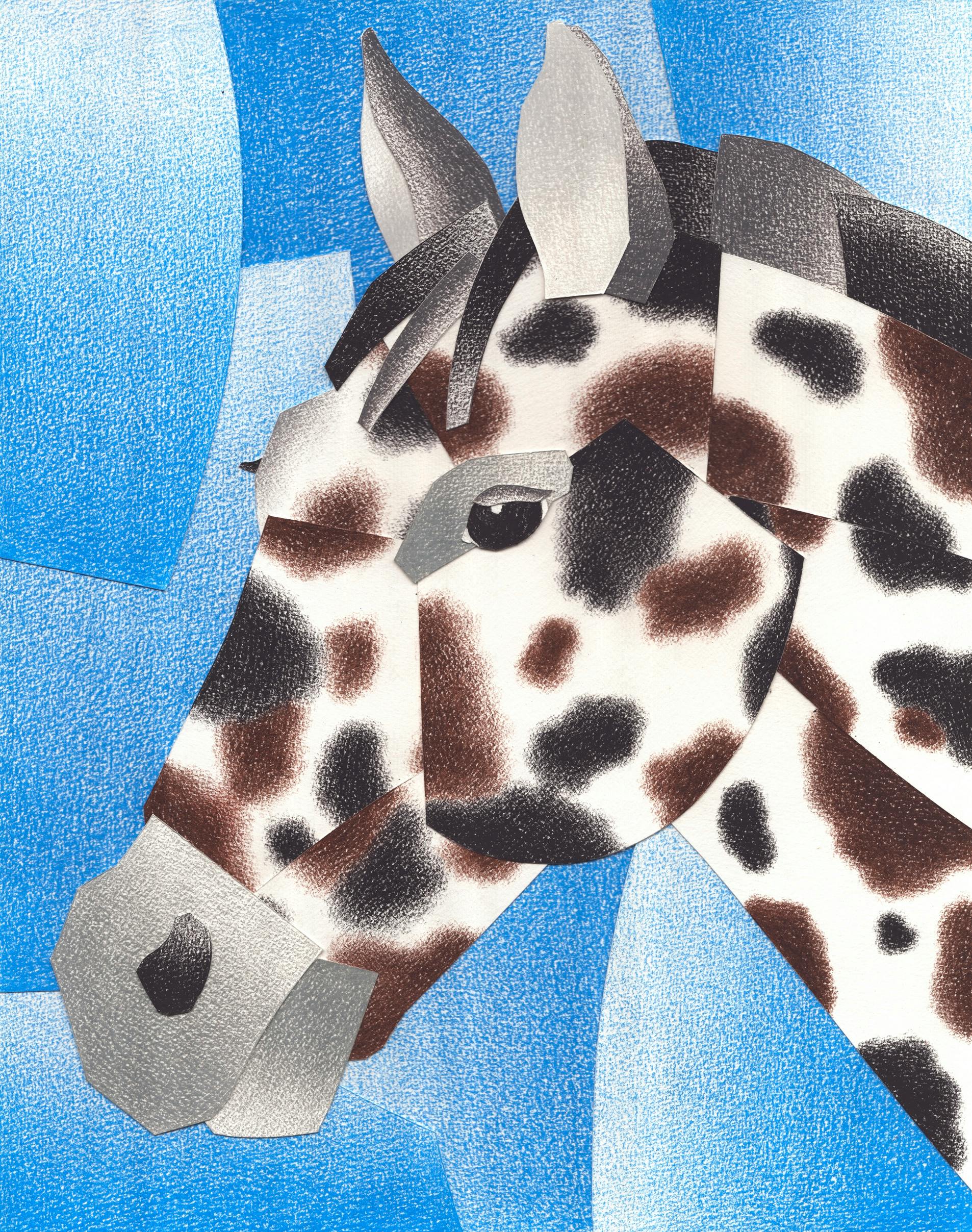 Anaïs Odoux collage illustration